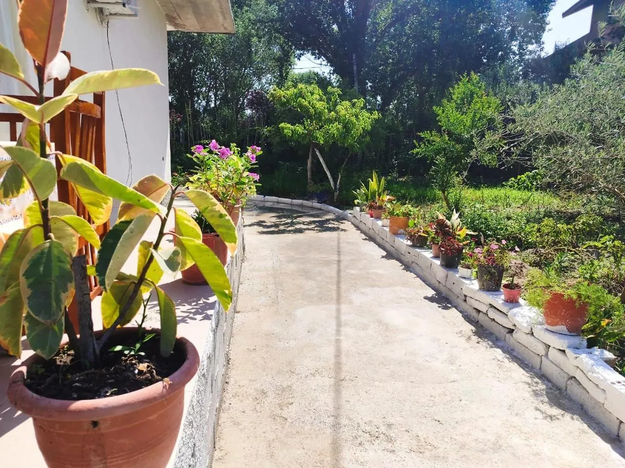 Vlora House Hotel Gasthuis Vlorë