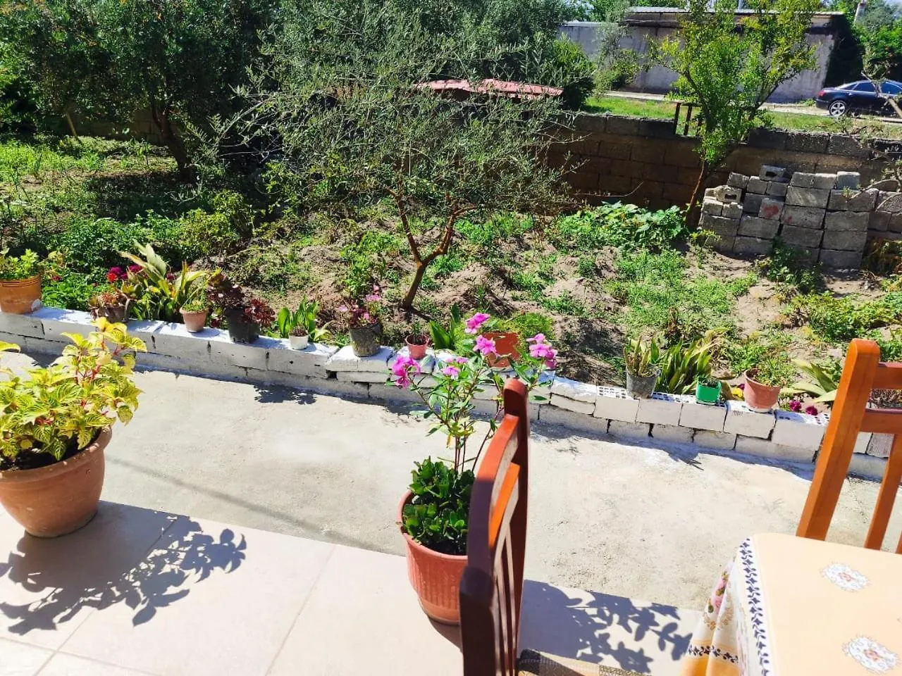 بيت ضيافة فندق Vlora House ألبانيا
